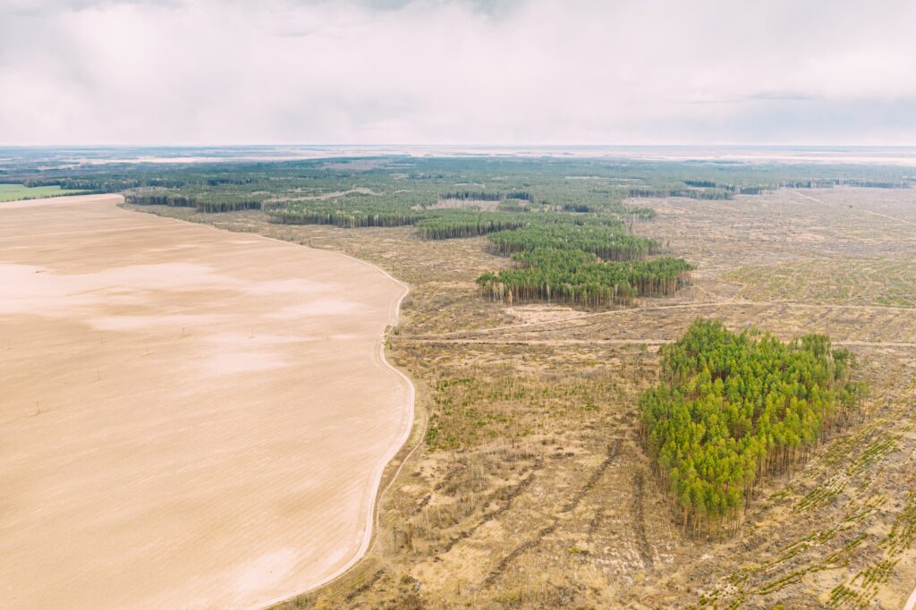 Aerial View Of Field And Deforestation Area Landscape. Green Pine Forest In Deforestation Zone. Top